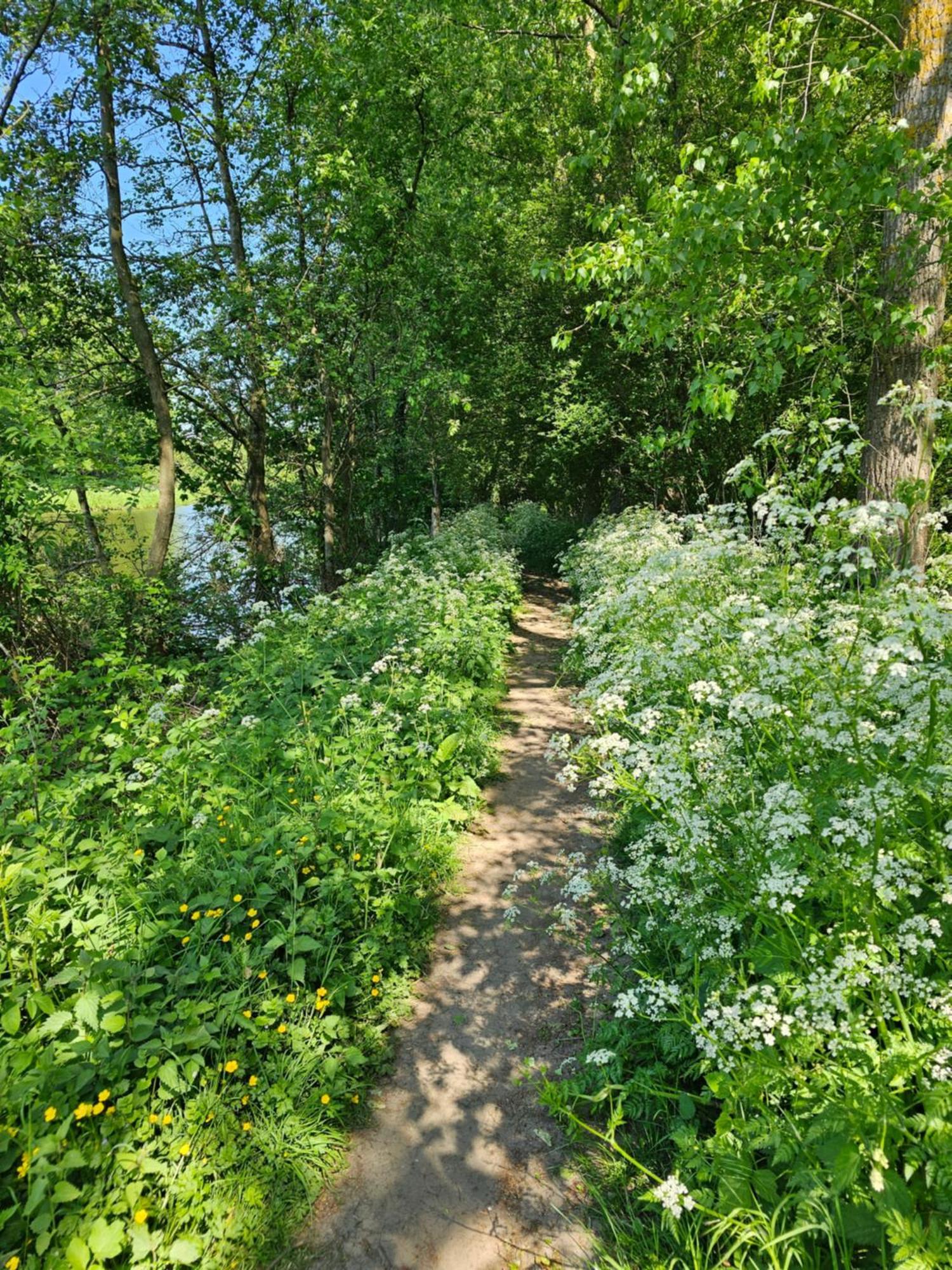 La Vallée Seneffe Extérieur photo